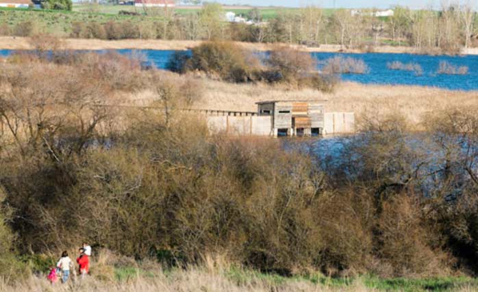 Las Tablas de Daimiel